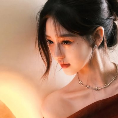 宠物情人 封面