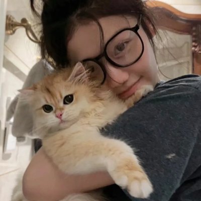 菜鸟老警第四季